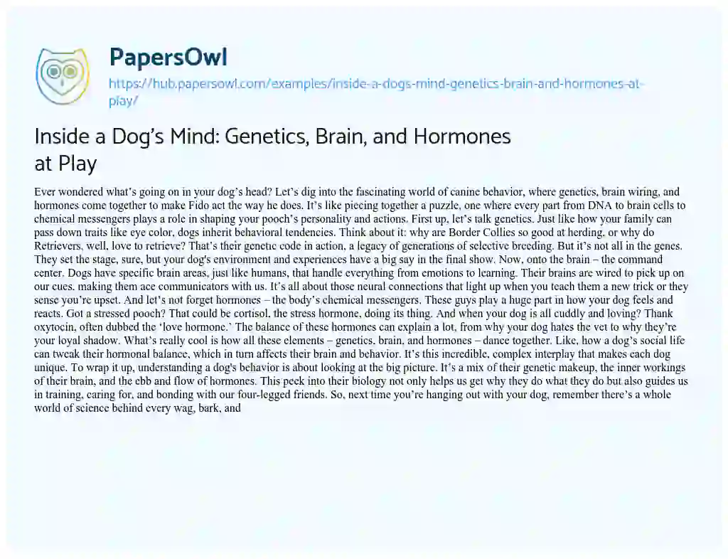 Essay on Inside a Dog’s Mind: Genetics, Brain, and Hormones at Play