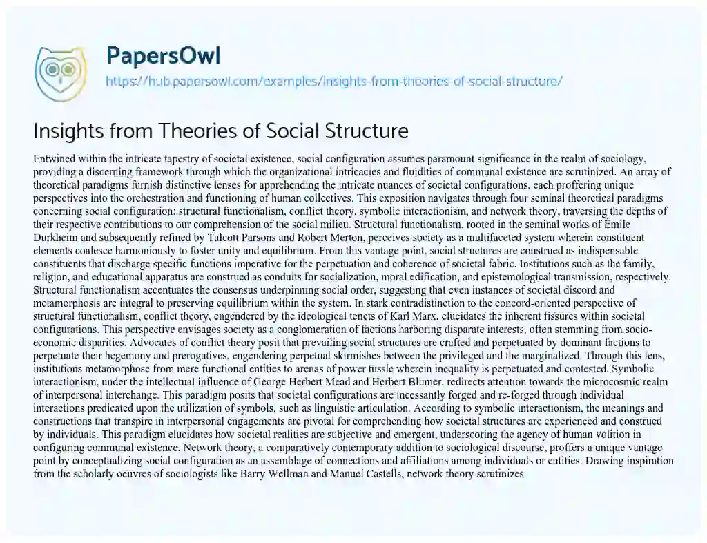 Essay on Insights from Theories of Social Structure