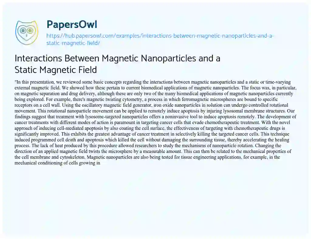 Essay on Interactions Between Magnetic Nanoparticles and a Static Magnetic Field