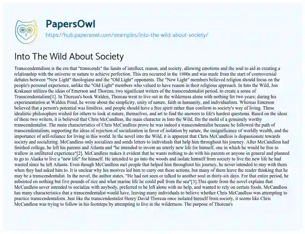 Essay on Into The Wild About Society