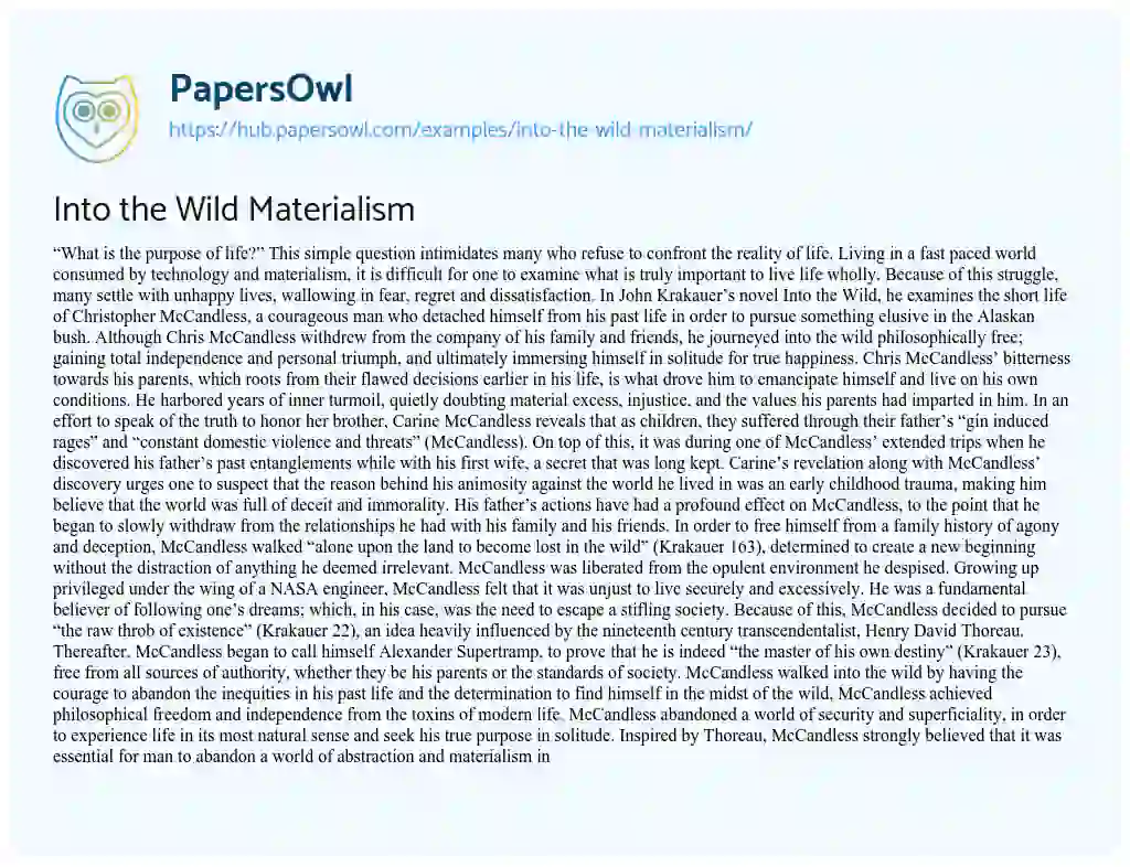 Essay on Into the Wild Materialism