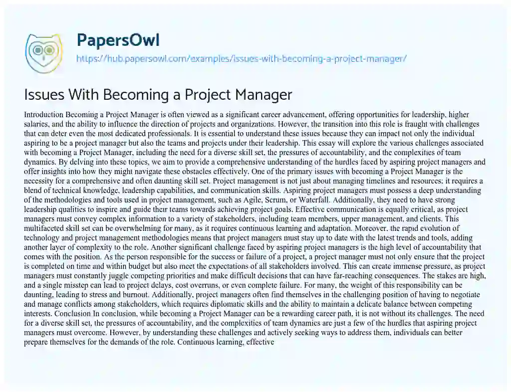 Essay on Issues With Becoming a Project Manager