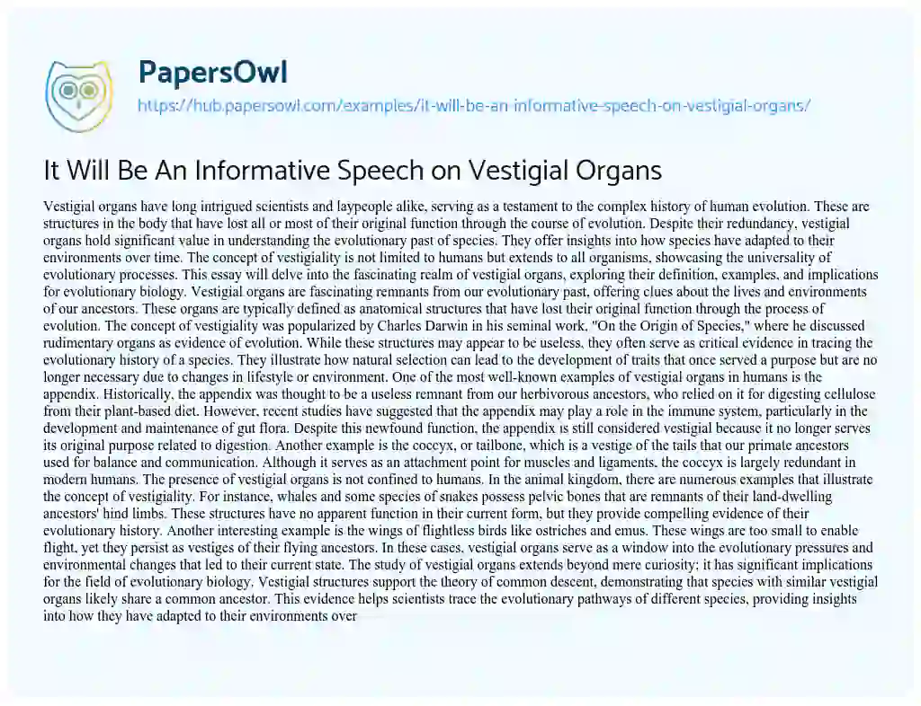 Essay on It Will Be An Informative Speech on Vestigial Organs