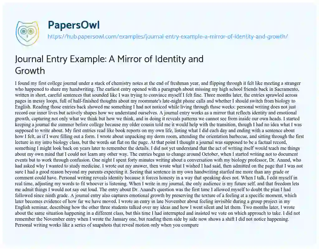 Essay on Journal Entry Example: A Mirror of Identity and Growth