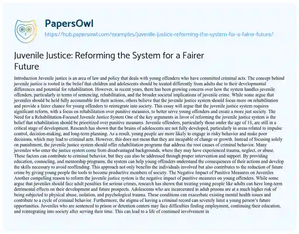 Essay on Juvenile Justice: Reforming the System for a Fairer Future