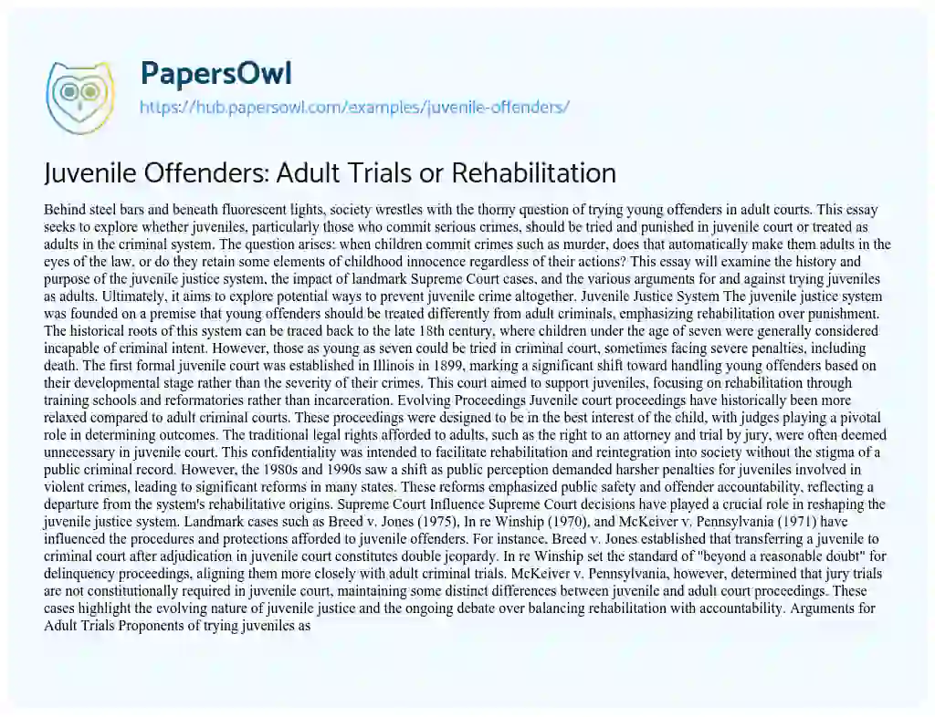 Essay on Juvenile Offenders: Adult Trials or Rehabilitation