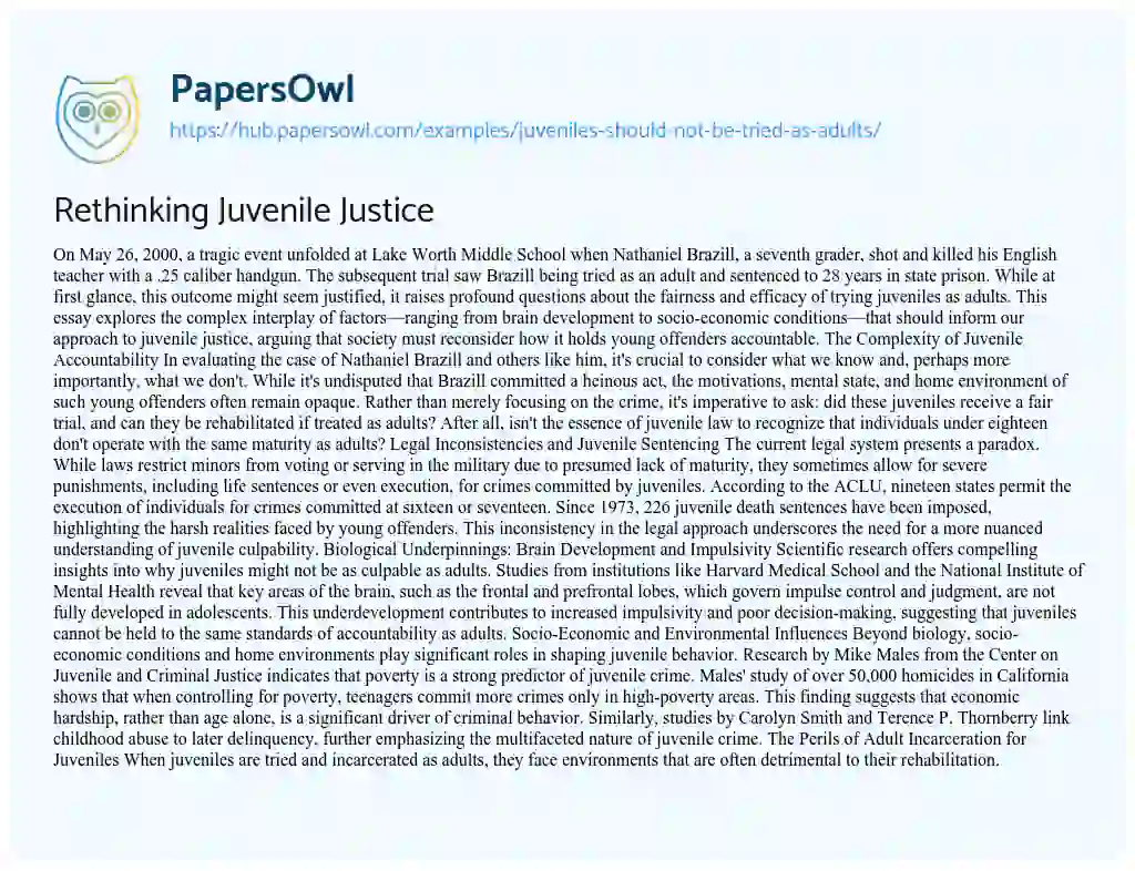 Essay on Rethinking Juvenile Justice