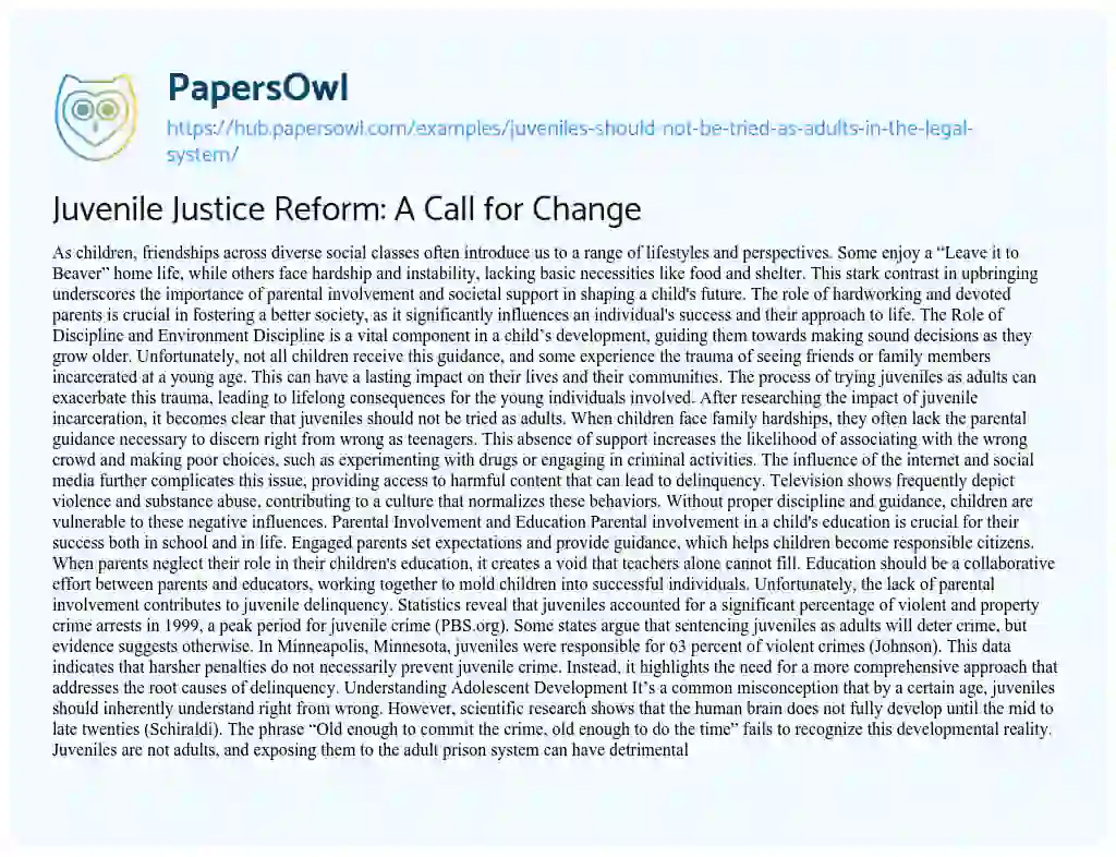 Essay on Juvenile Justice Reform: A Call for Change