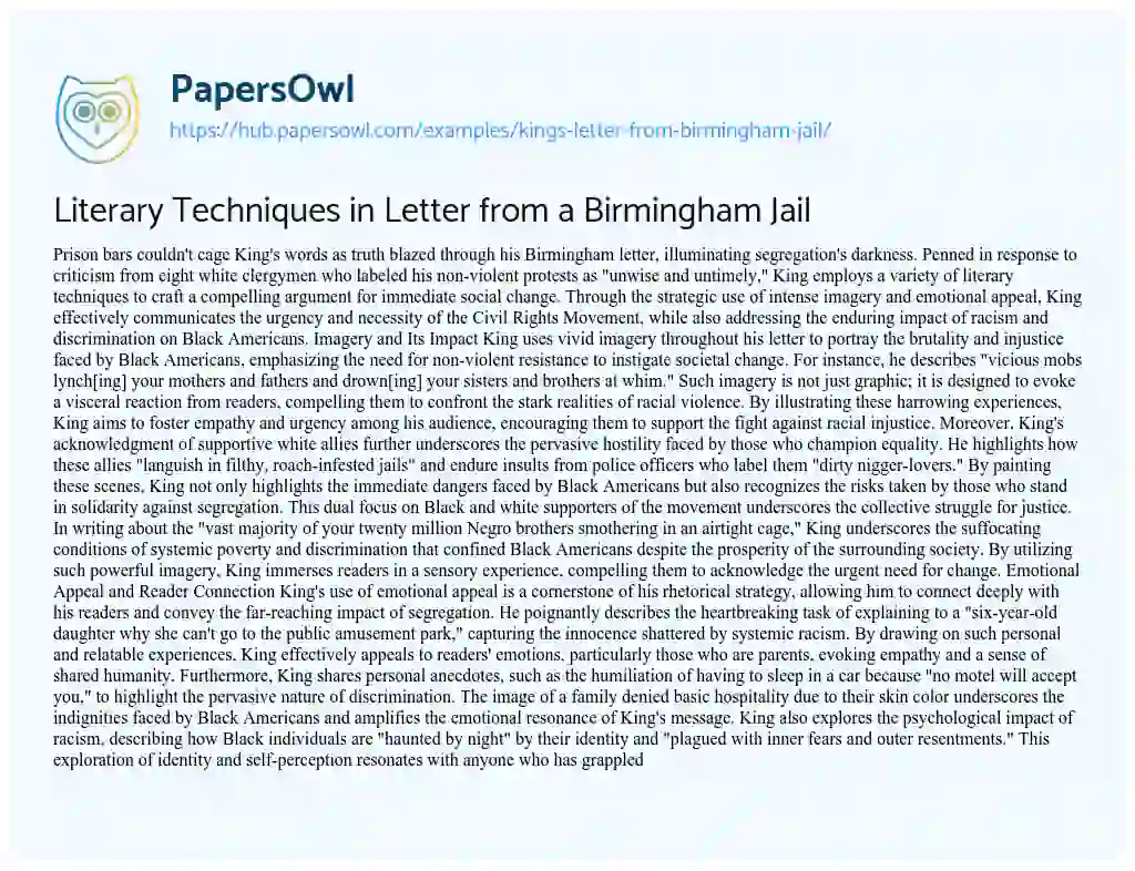 Essay on Literary Techniques in Letter from a Birmingham Jail