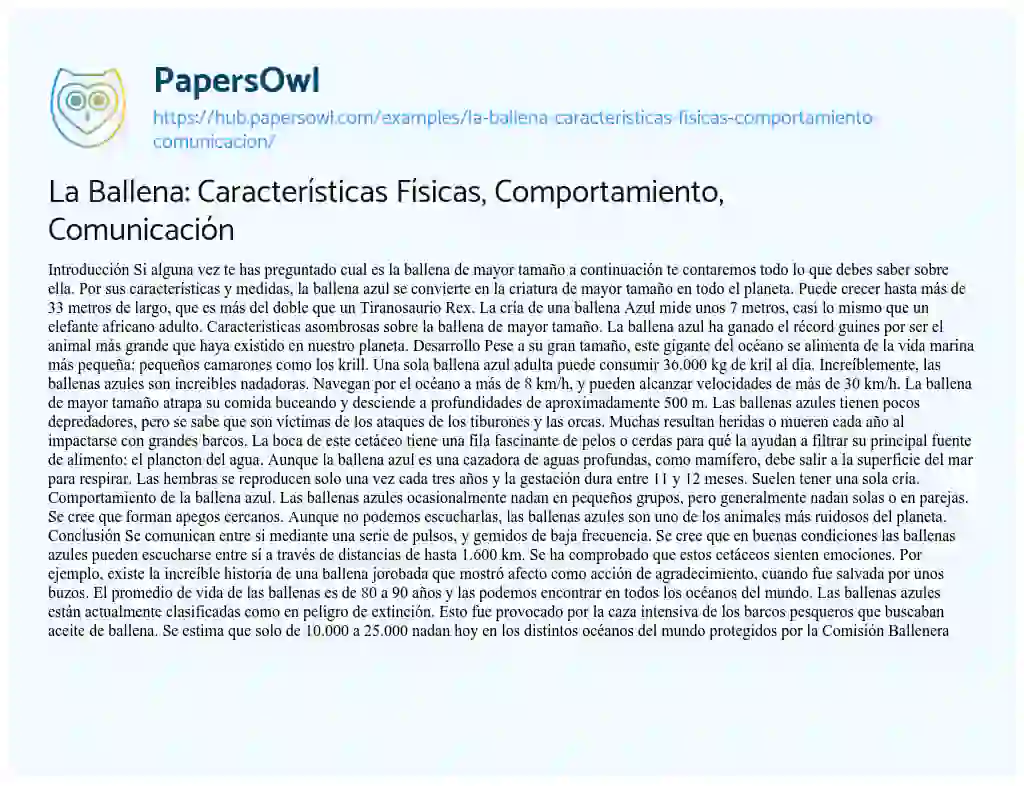 Essay on La Ballena: Características Físicas, Comportamiento, Comunicación
