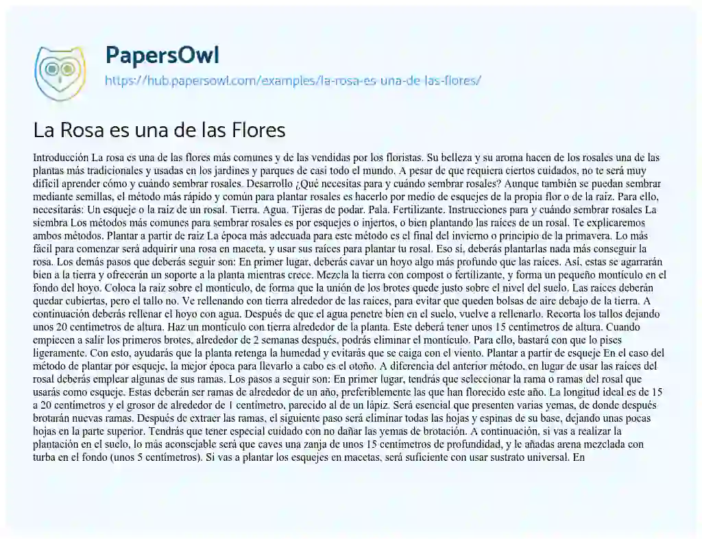 Essay on La Rosa es una de las Flores