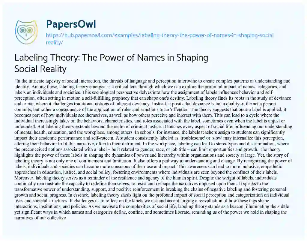 Essay on Labeling Theory: The Power of Names in Shaping Social Reality