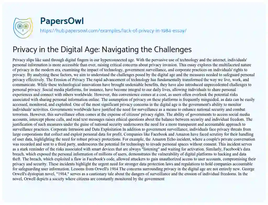 Essay on Privacy in the Digital Age: Navigating the Challenges