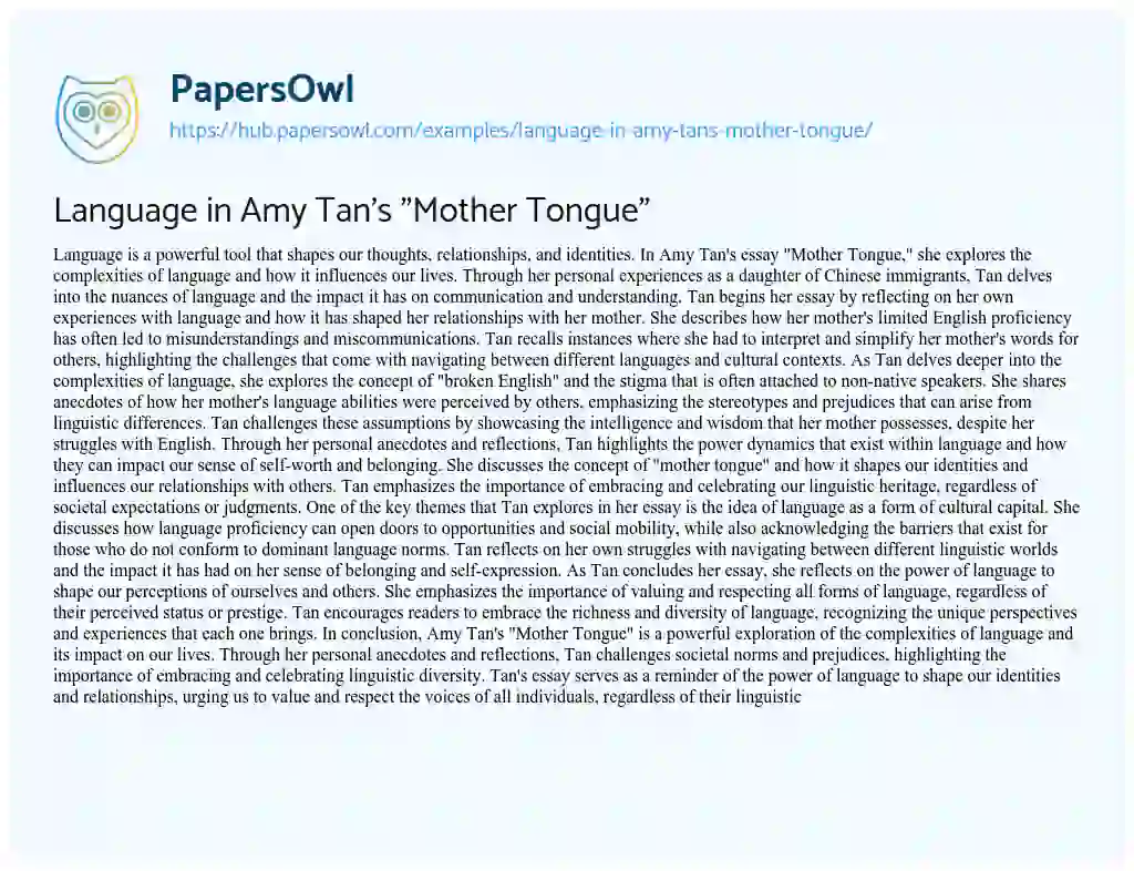 Essay on Language in Amy Tan’s “Mother Tongue”