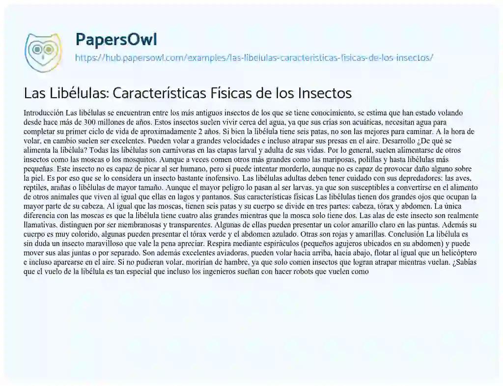 Essay on Las Libélulas: Características Físicas de los Insectos