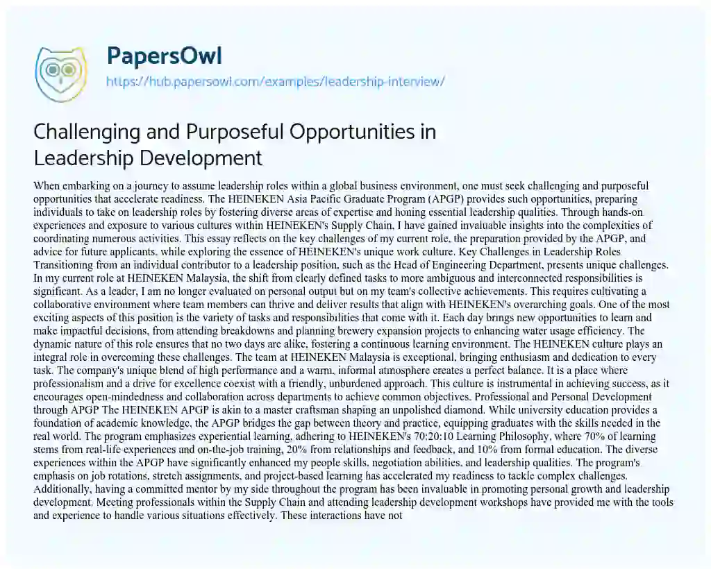 Essay on Challenging and Purposeful Opportunities in Leadership Development