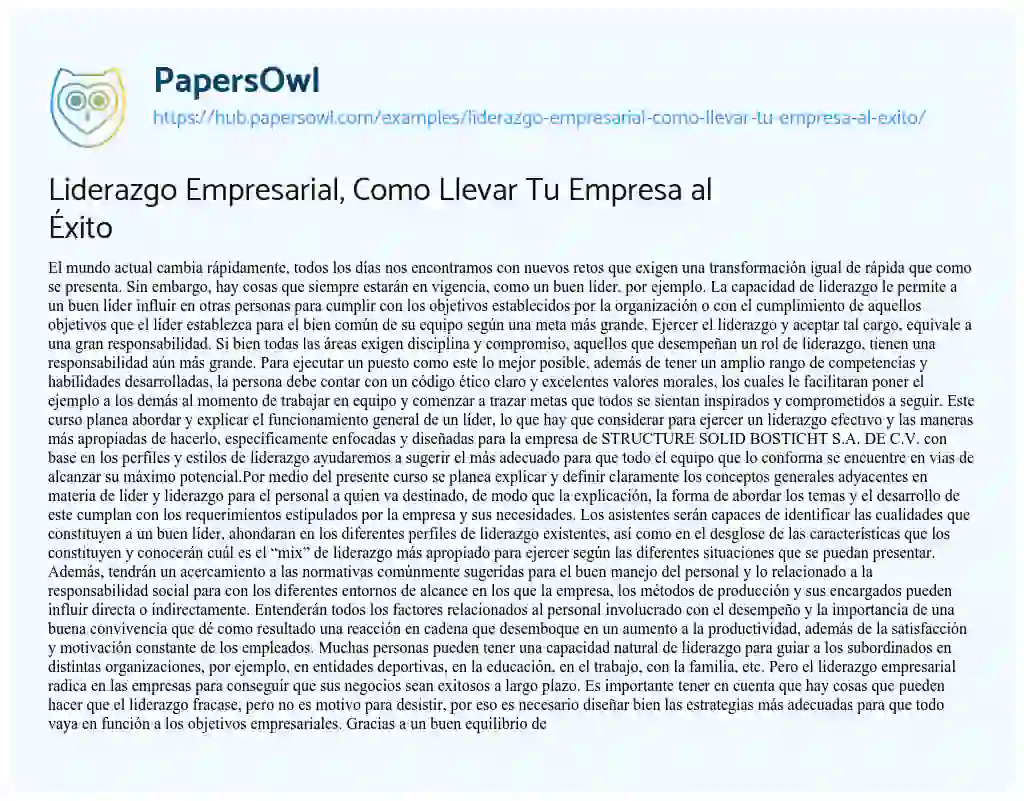 Essay on Liderazgo Empresarial, Como Llevar Tu Empresa al Éxito