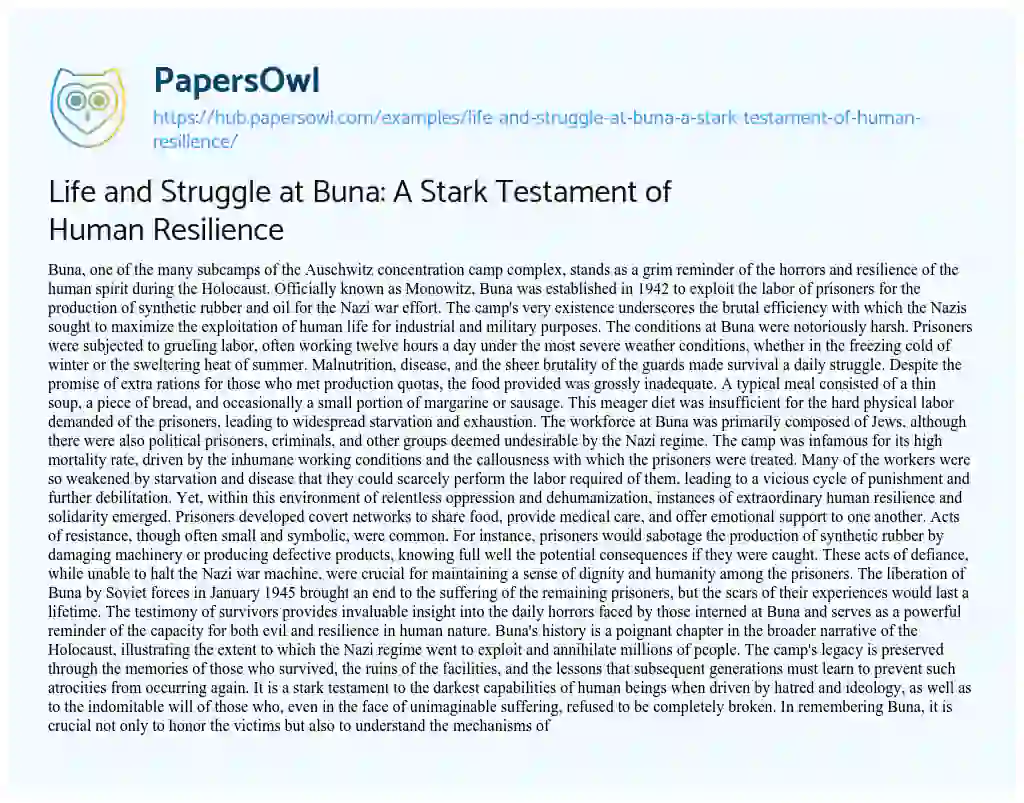 Essay on Life and Struggle at Buna: A Stark Testament of Human Resilience