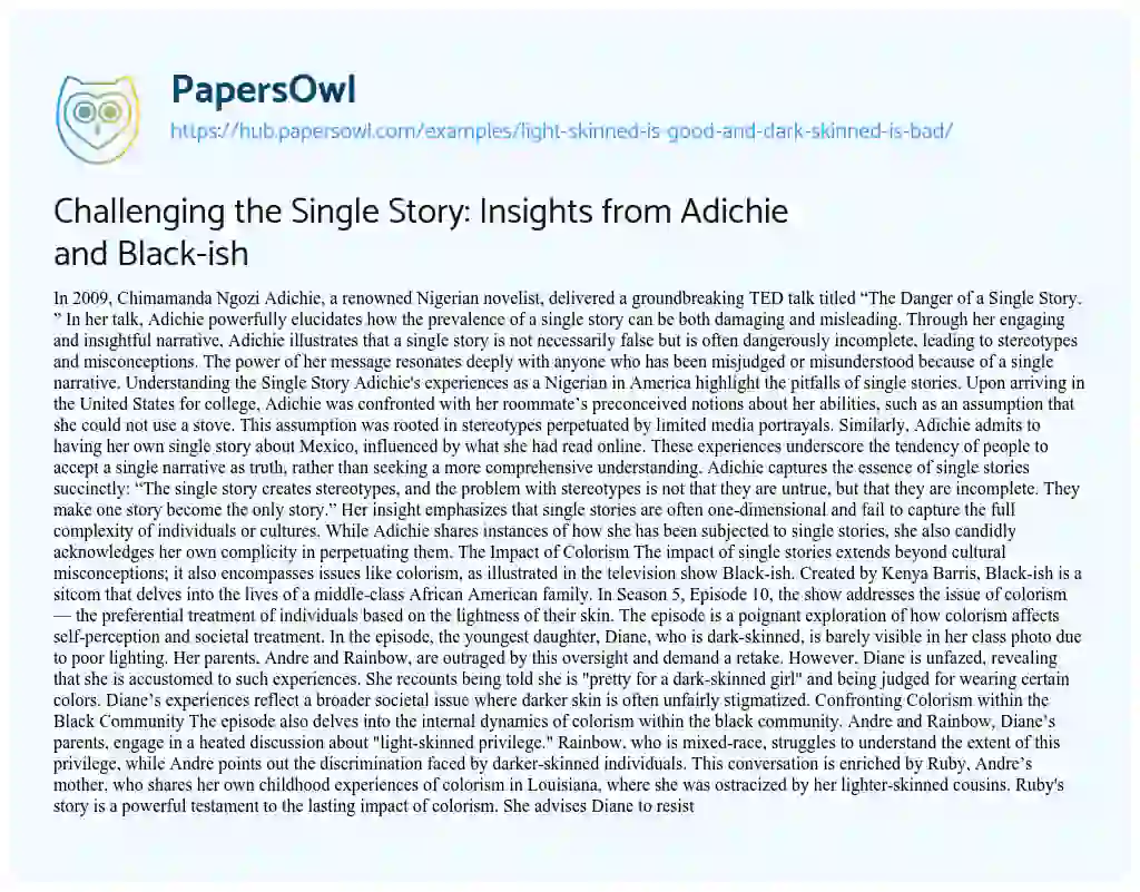Essay on Challenging the Single Story: Insights from Adichie and Black-ish