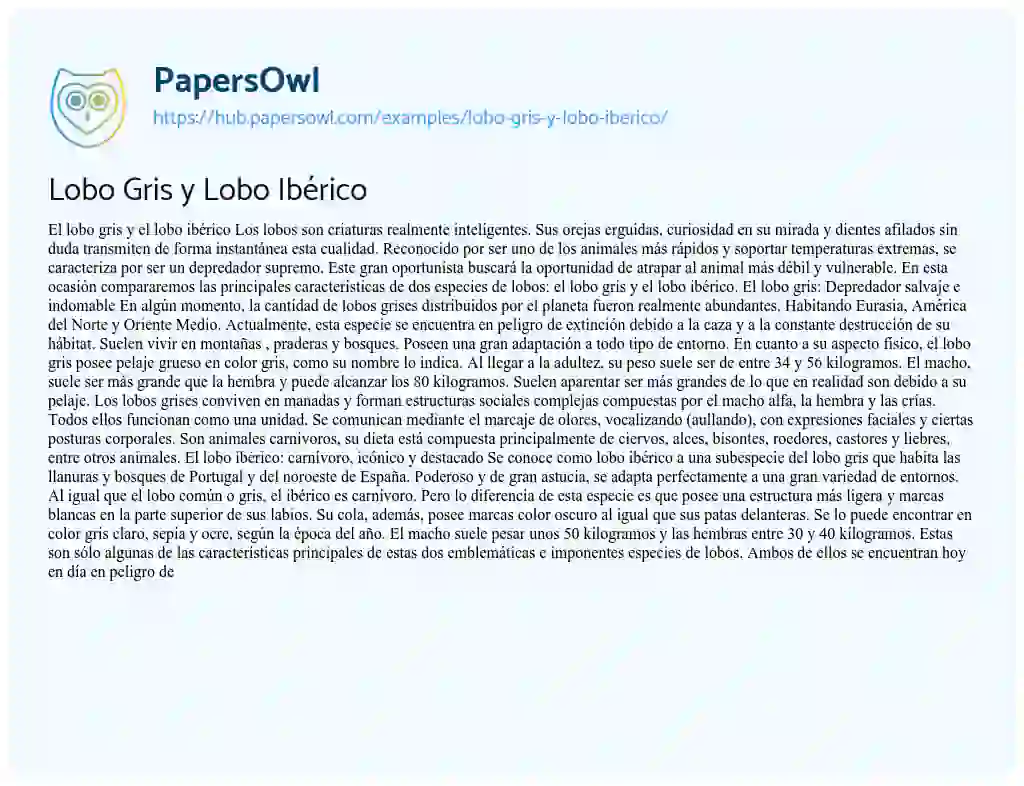 Essay on Lobo Gris y Lobo Ibérico