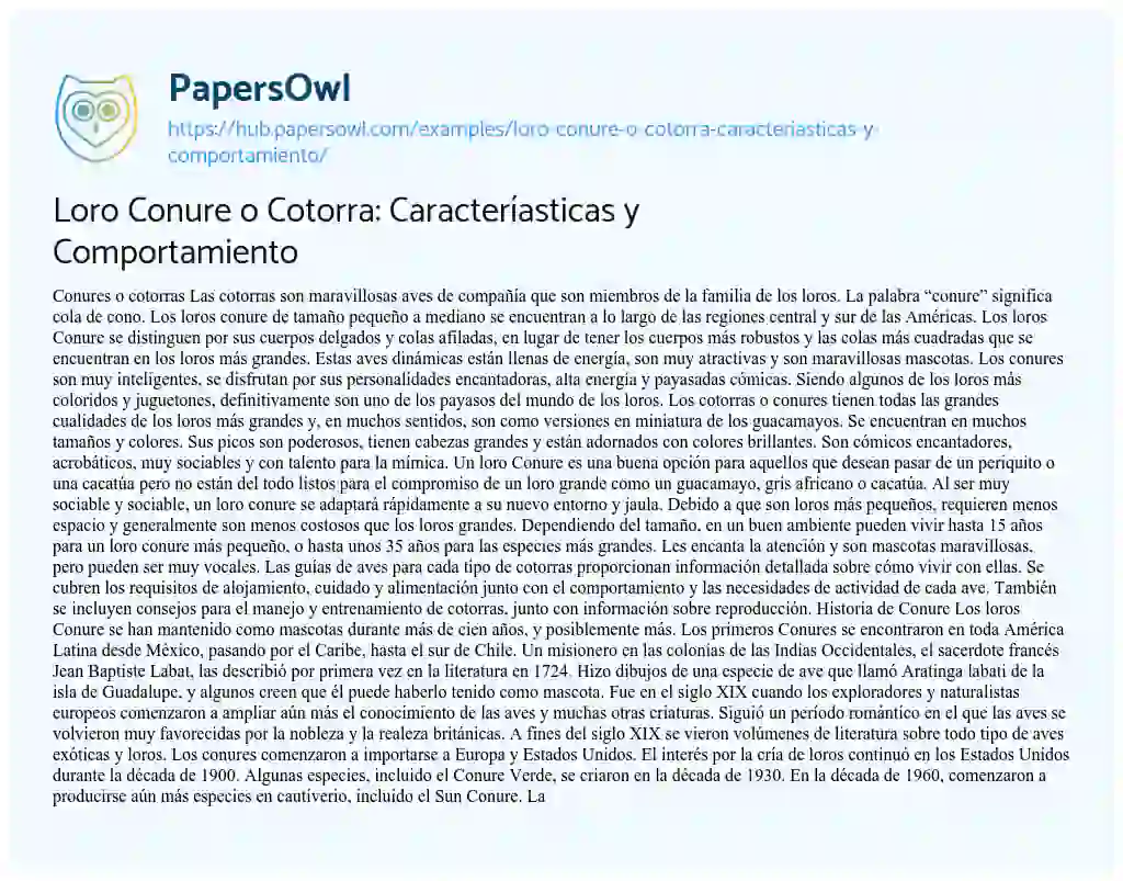 Essay on Loro Conure o Cotorra: Caracteríasticas y Comportamiento