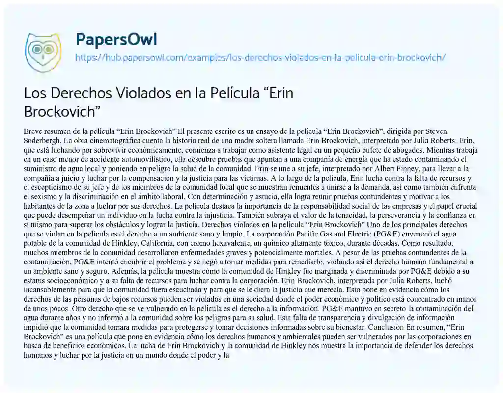 Essay on Los Derechos Violados en la Película “Erin Brockovich”