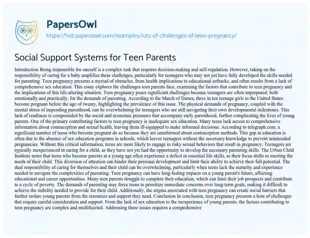 Essay on Social Support Systems for Teen Parents