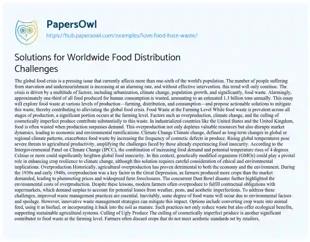 Essay on Solutions for Worldwide Food Distribution Challenges