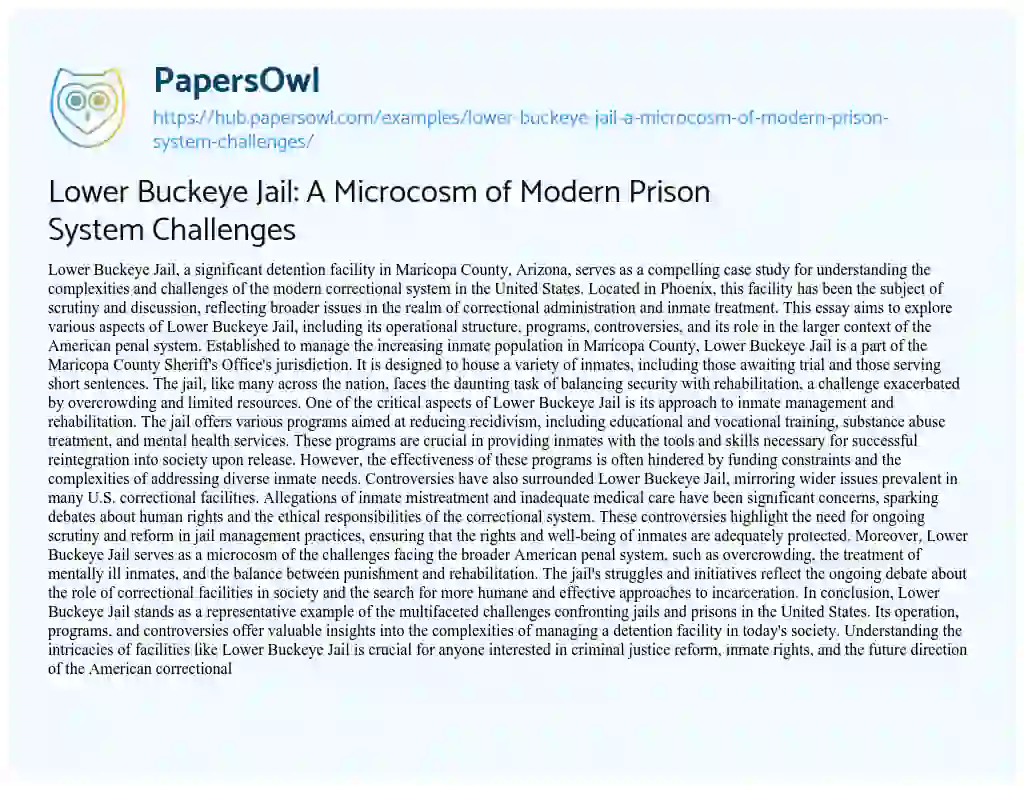 Essay on Lower Buckeye Jail: A Microcosm of Modern Prison System Challenges