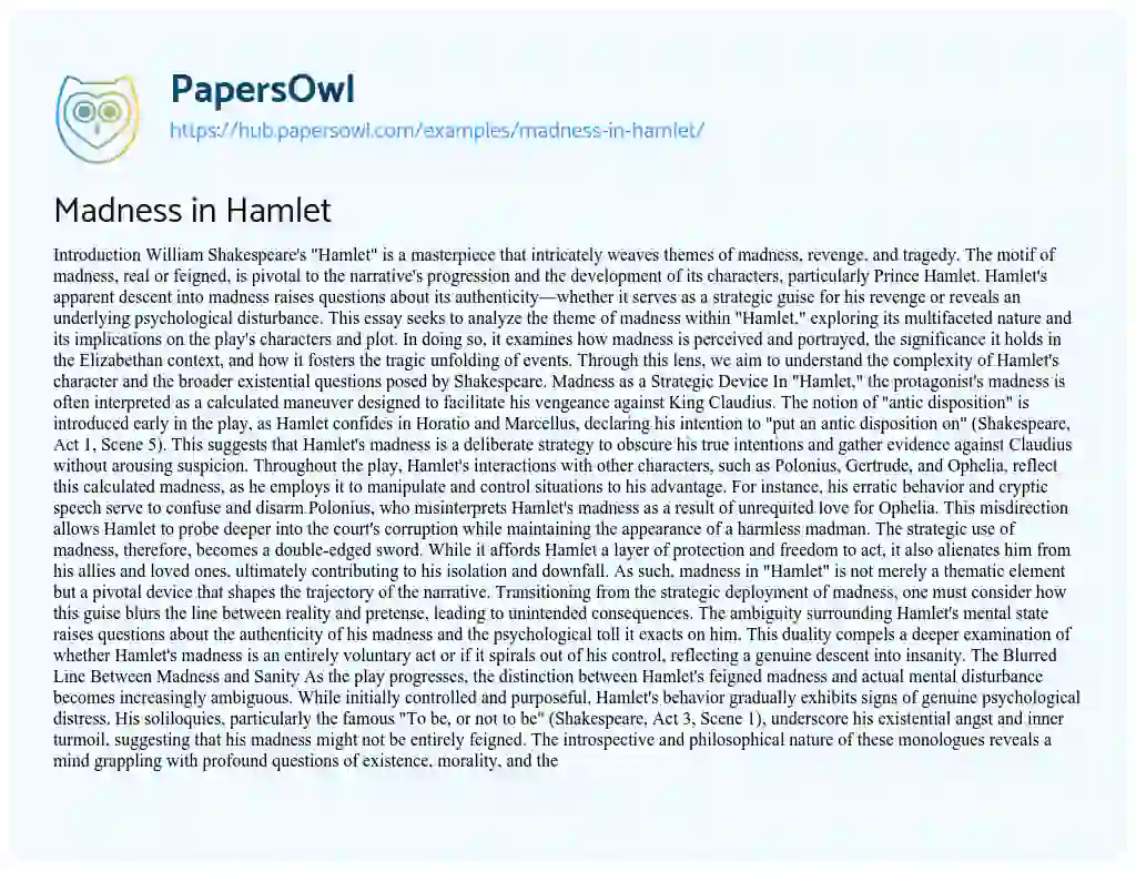 Essay on Madness in Hamlet