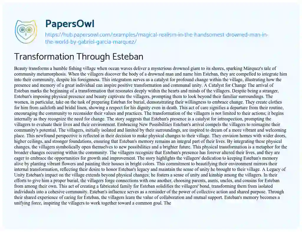 Essay on Transformation Through Esteban