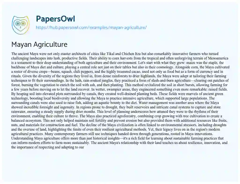 Essay on Mayan Agriculture