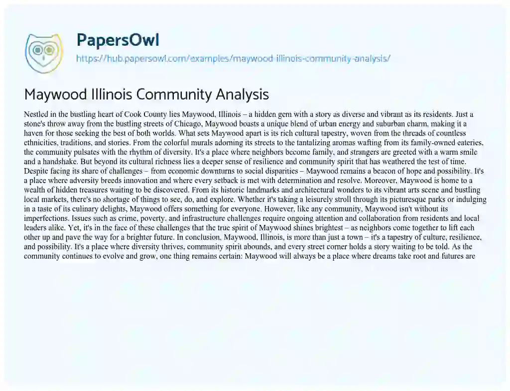Essay on Maywood Illinois Community Analysis