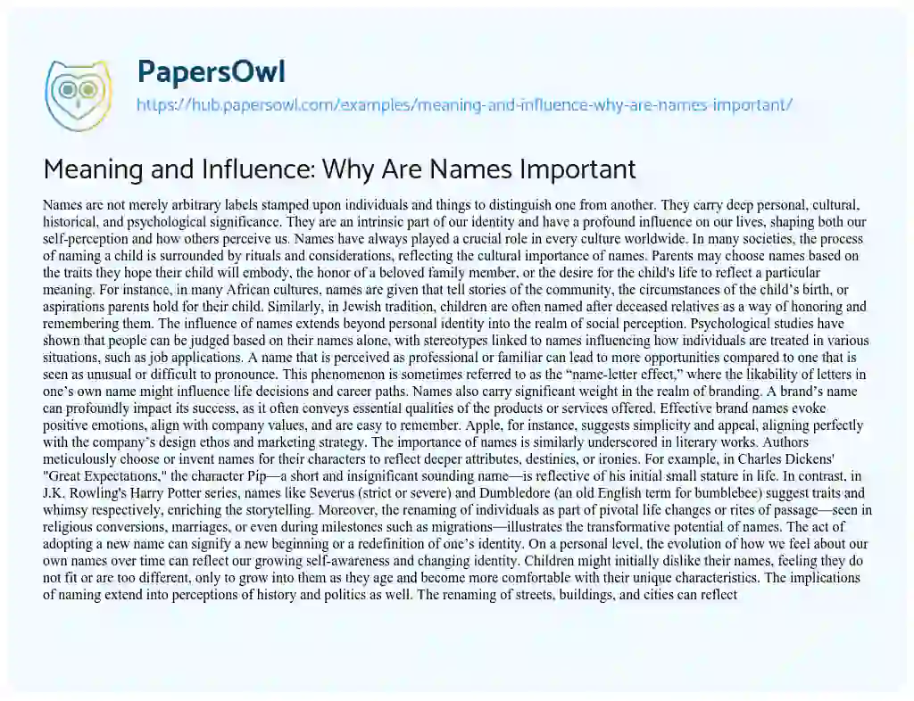 Essay on Meaning and Influence: Why Are Names Important