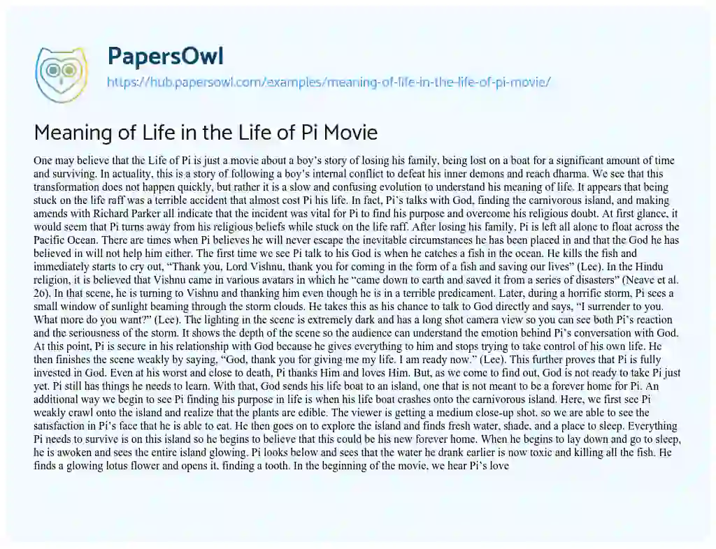 Essay on Meaning of Life in the Life of Pi Movie