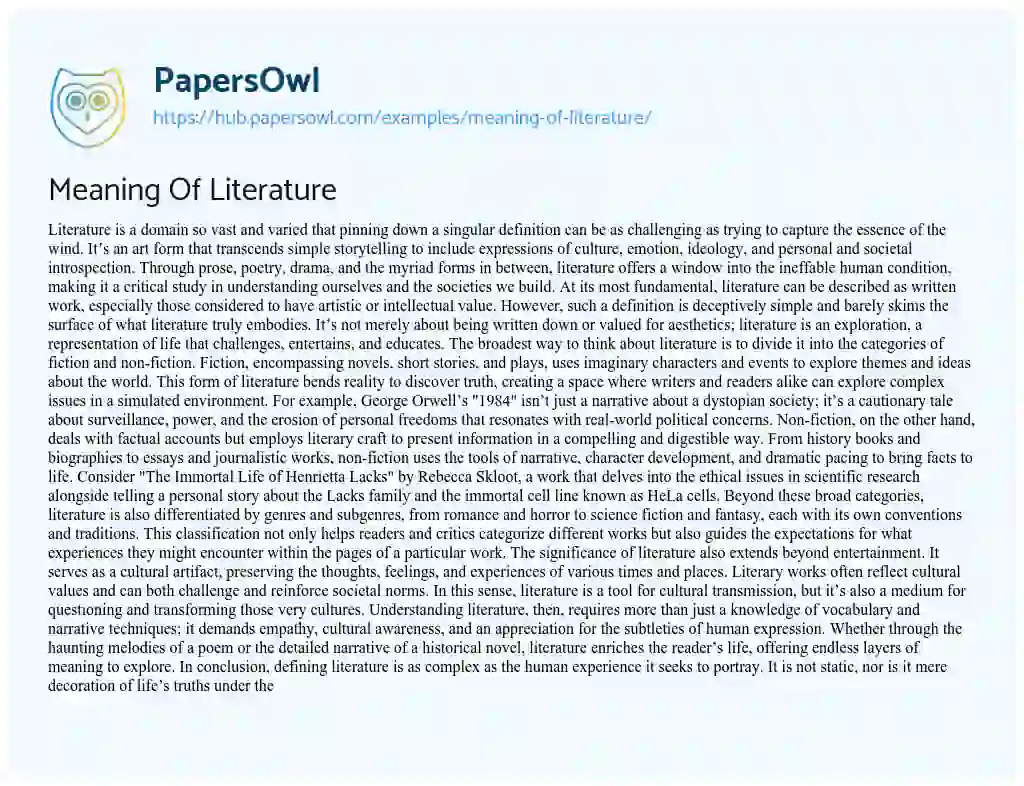 Essay on Meaning Of Literature