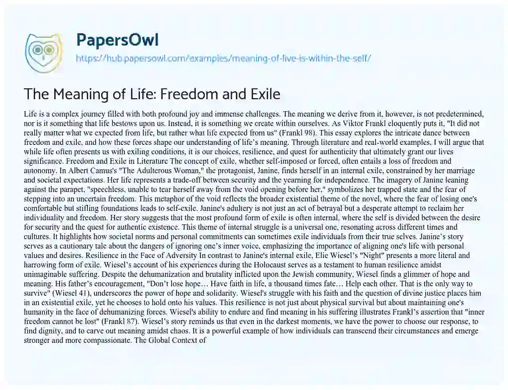 Essay on The Meaning of Life: Freedom and Exile