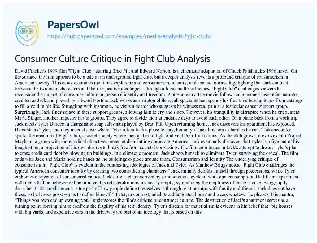 Essay on Consumer Culture Critique in Fight Club Analysis