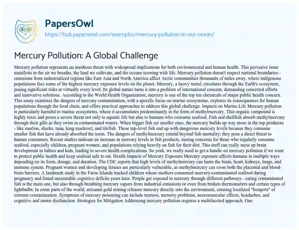Essay on Mercury Pollution: A Global Challenge