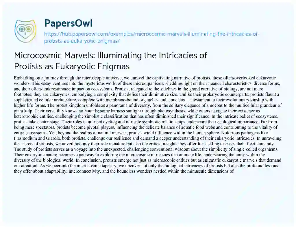 Essay on Microcosmic Marvels: Illuminating the Intricacies of Protists as Eukaryotic Enigmas