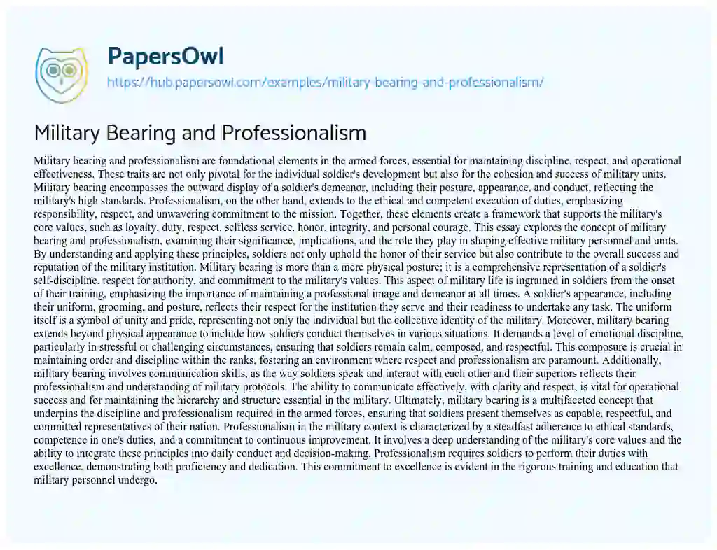 Essay on Military Bearing and Professionalism