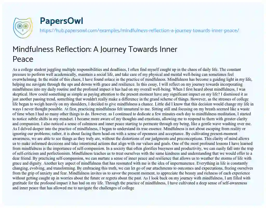 Essay on Mindfulness Reflection: A Journey Towards Inner Peace