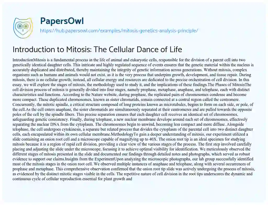 Essay on Introduction to Mitosis: The Cellular Dance of Life