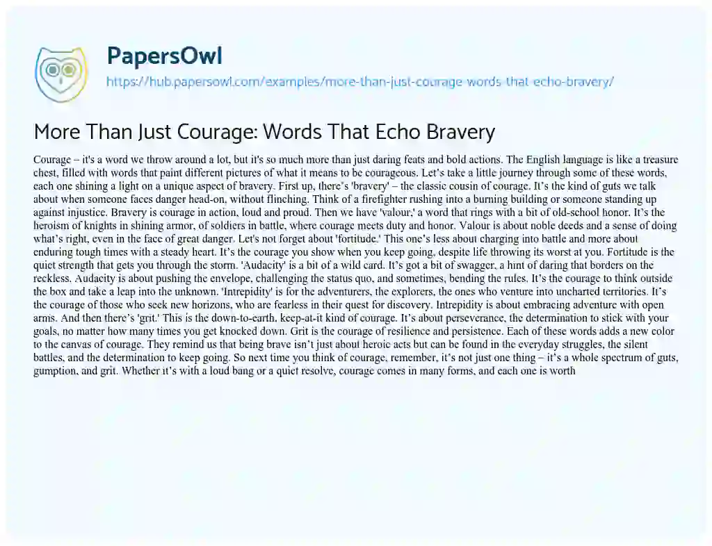 Essay on More Than Just Courage: Words That Echo Bravery