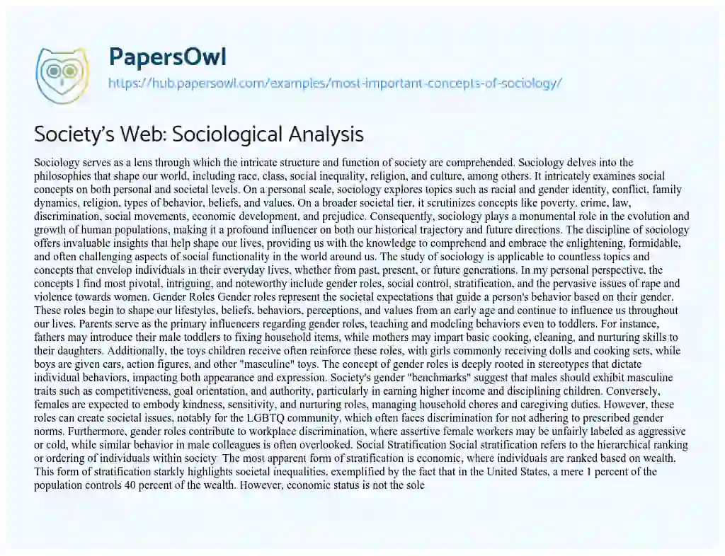 Essay on Society’s Web: Sociological Analysis