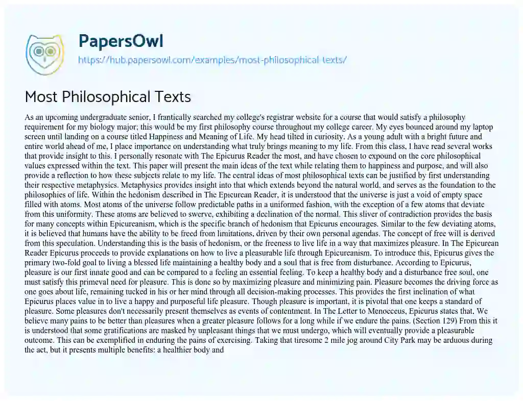 Essay on Most Philosophical Texts