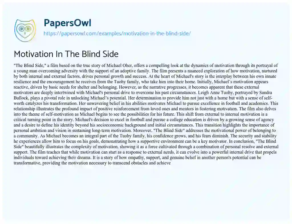 Essay on Motivation In The Blind Side