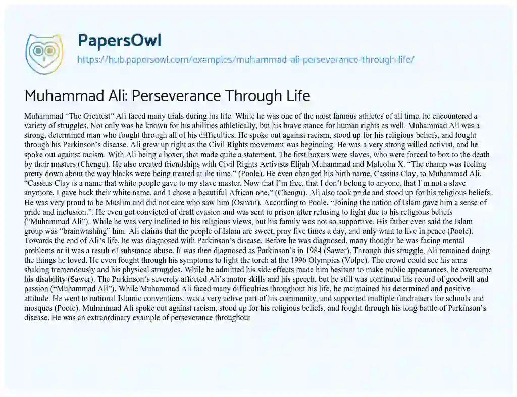 Essay on Muhammad Ali: Perseverance Through Life