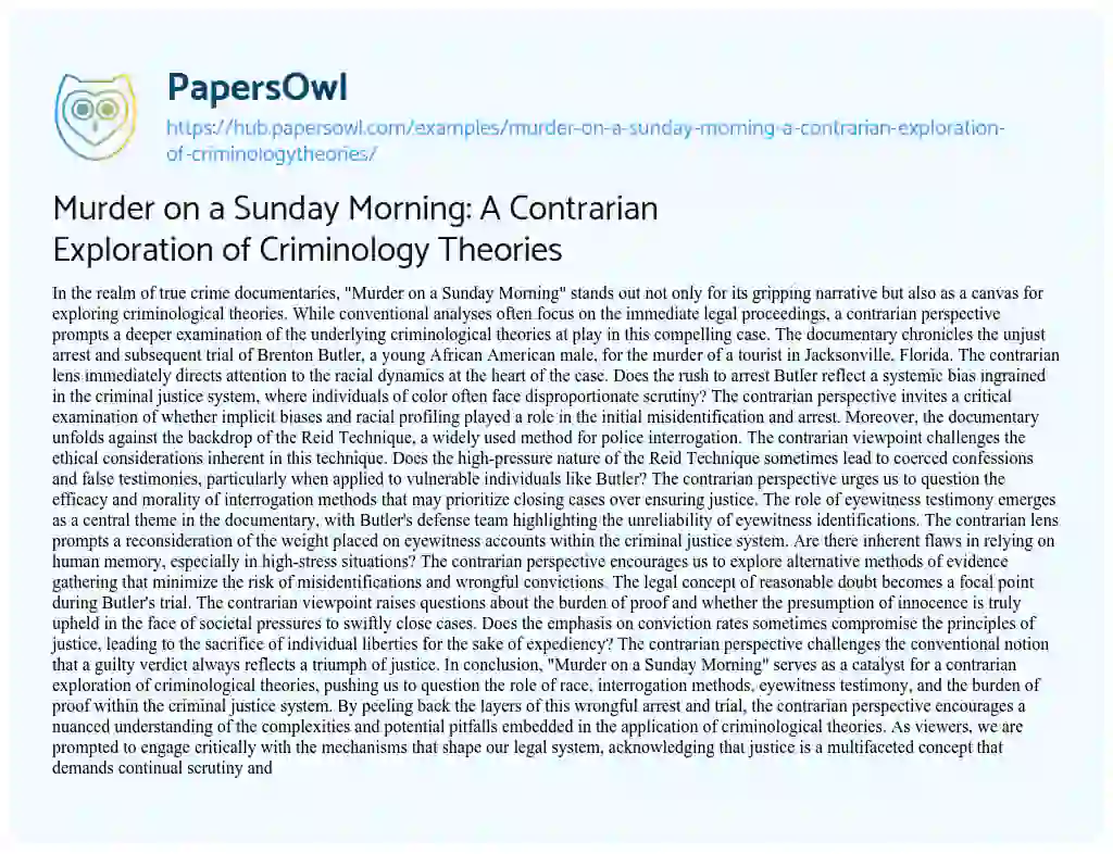 Essay on Murder on a Sunday Morning: A Contrarian Exploration of Criminology Theories