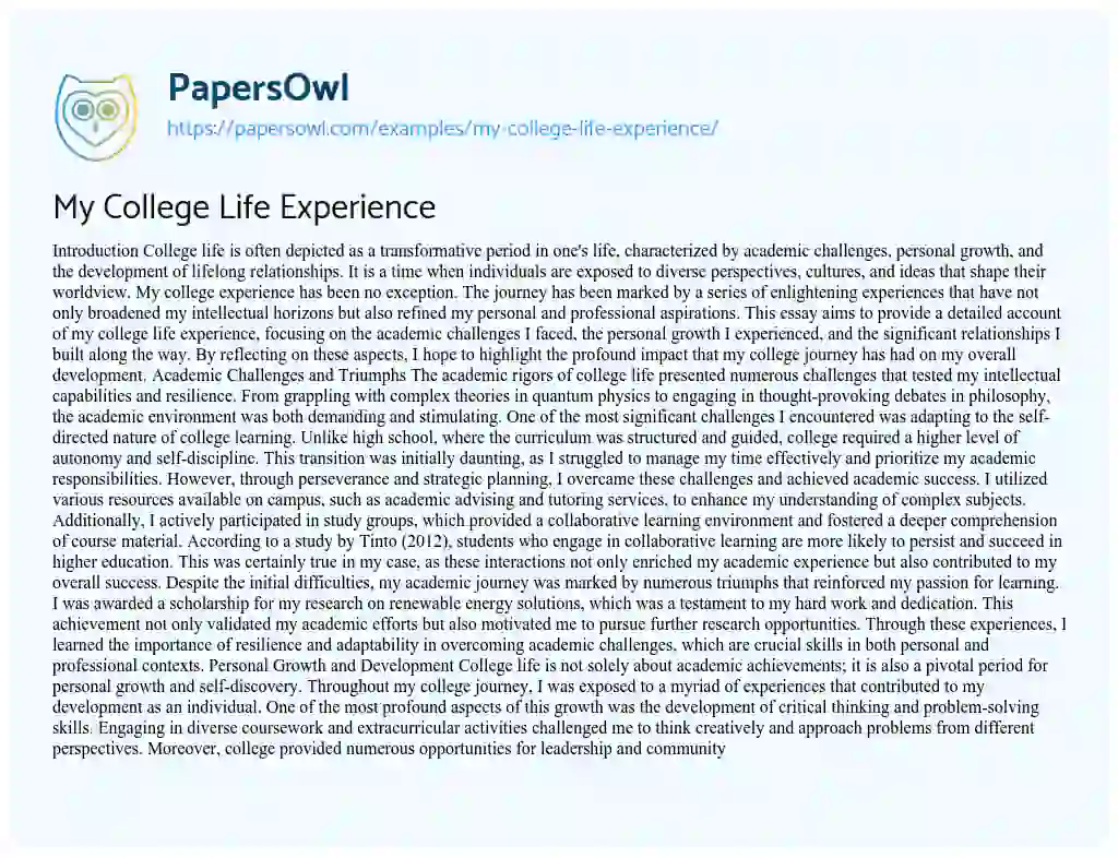Essay on My College Life Experience